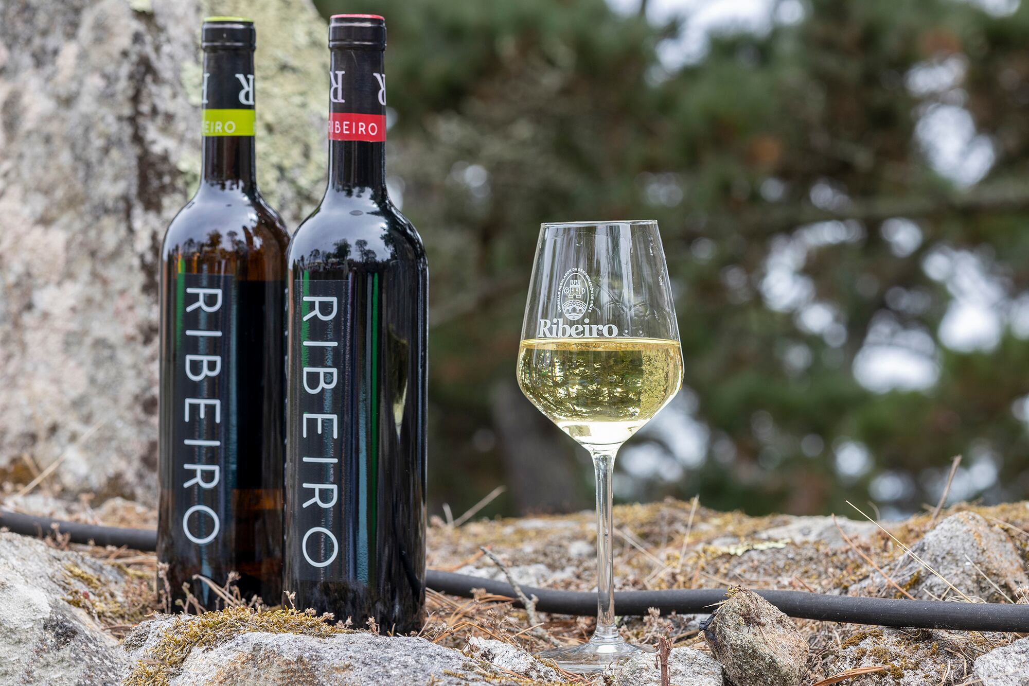 Vinos de O Ribeiro