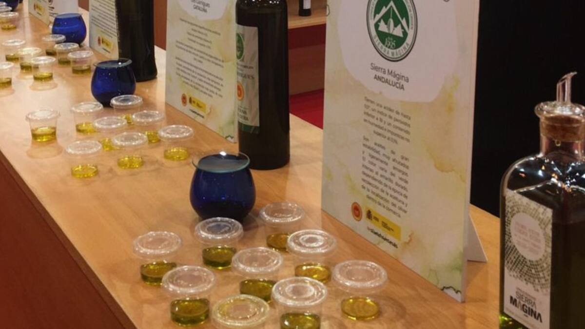 Las DOP jiennenses venden más aceite envasado en un ranking que sigue liderando Baena