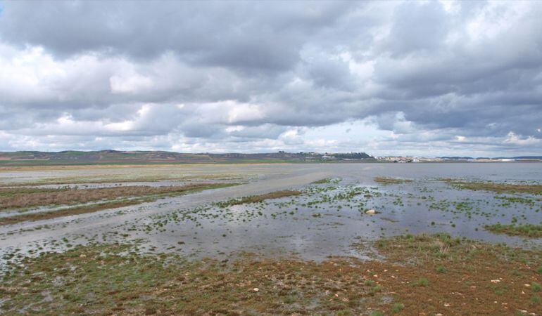 Laguna de El Hito