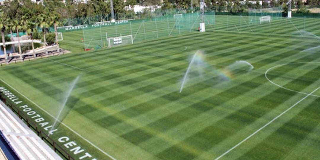 Campo de césped del Marbella Football Center.