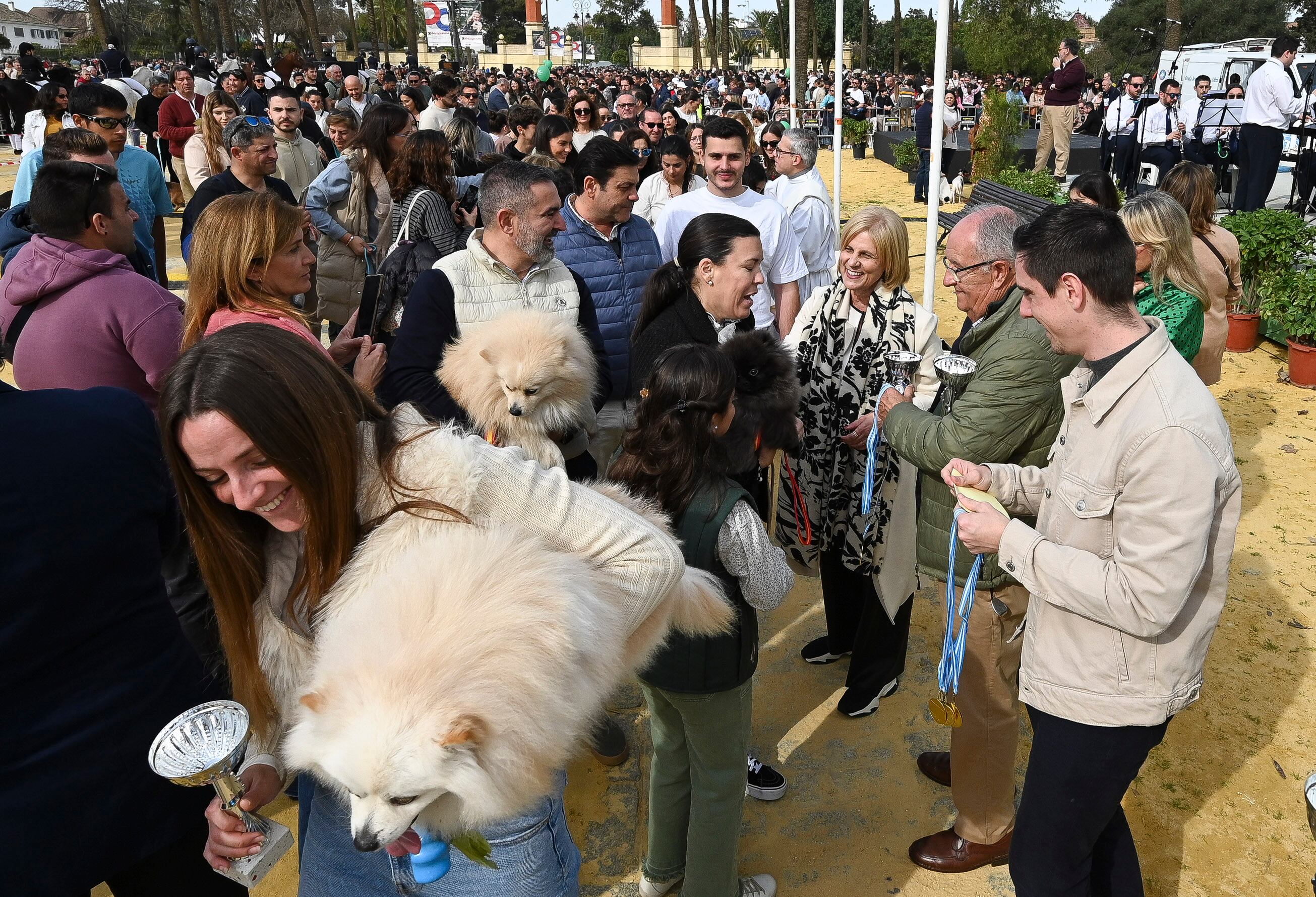 Fiesta de San Antón en el González Hontoria