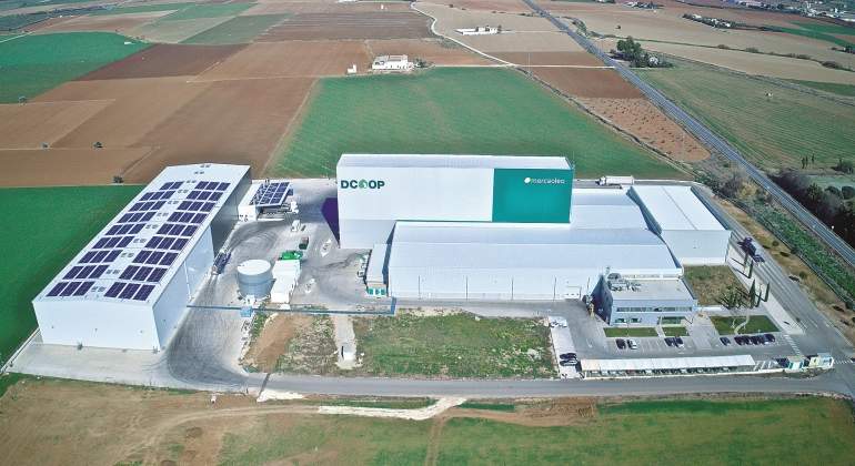 Dcoop representa a 75.000 agricultores de España