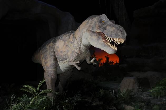 Atracción de Dinópolis