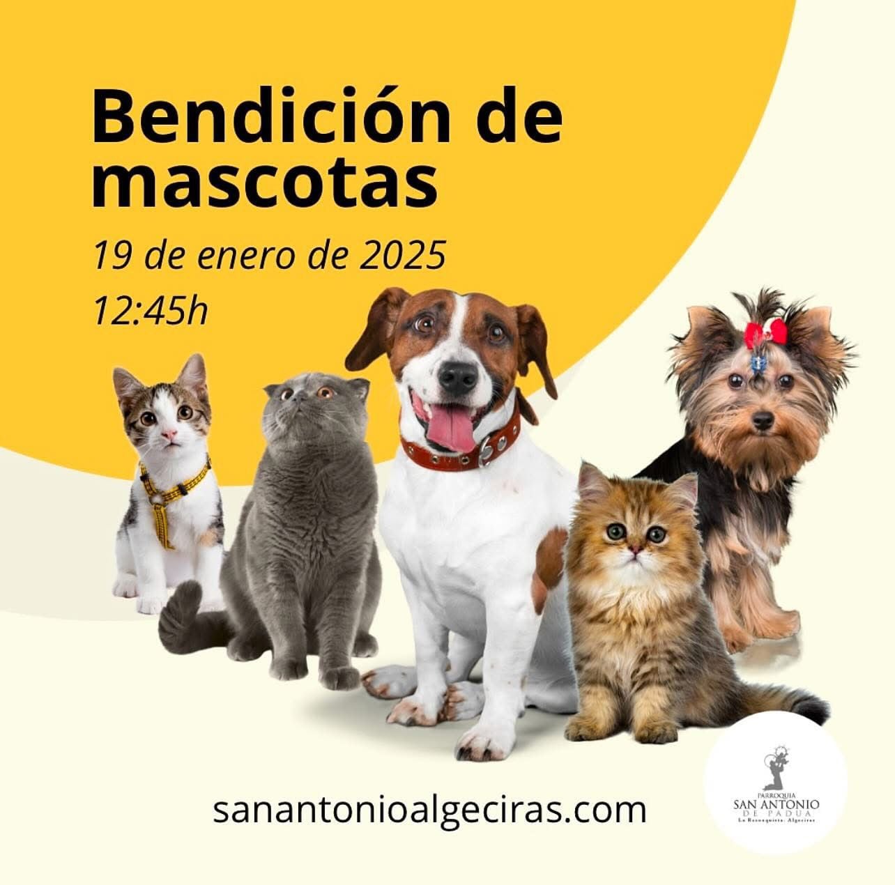 Bendición de mascotas.