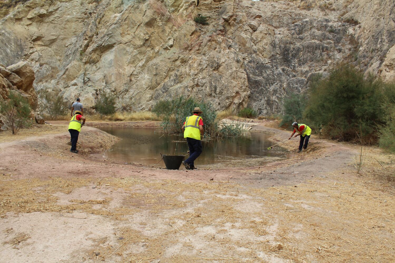 Brigada forestal, Novelda