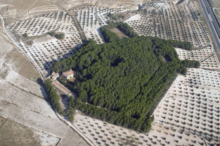 Vista aérea de El Poblet en Petrer 