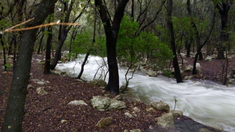 Ses Fonts Ufanes, Gabellí Petit