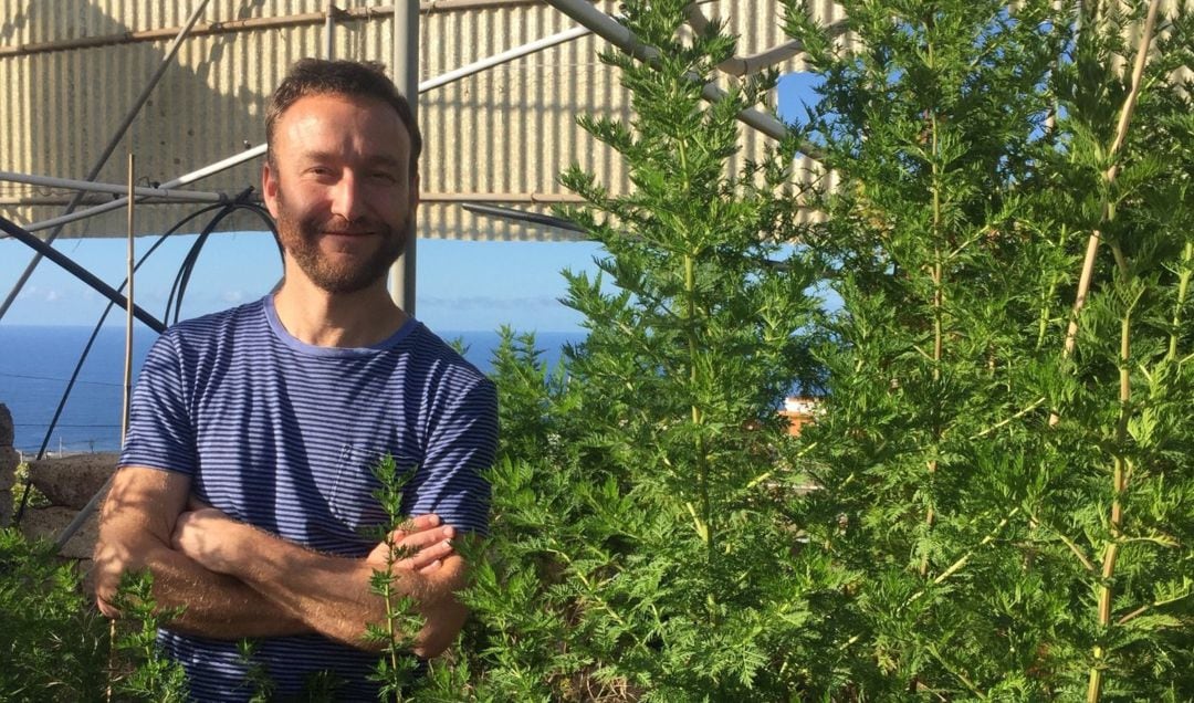 El bioquímico conquense Luis Matías junto a las plantas de Artemisia Annua.