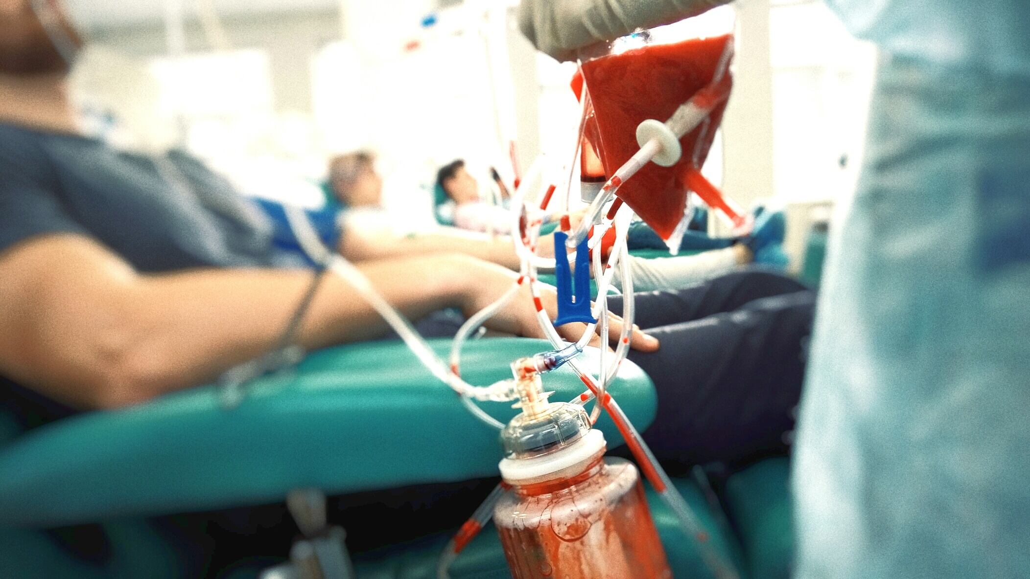 Donación de sangre