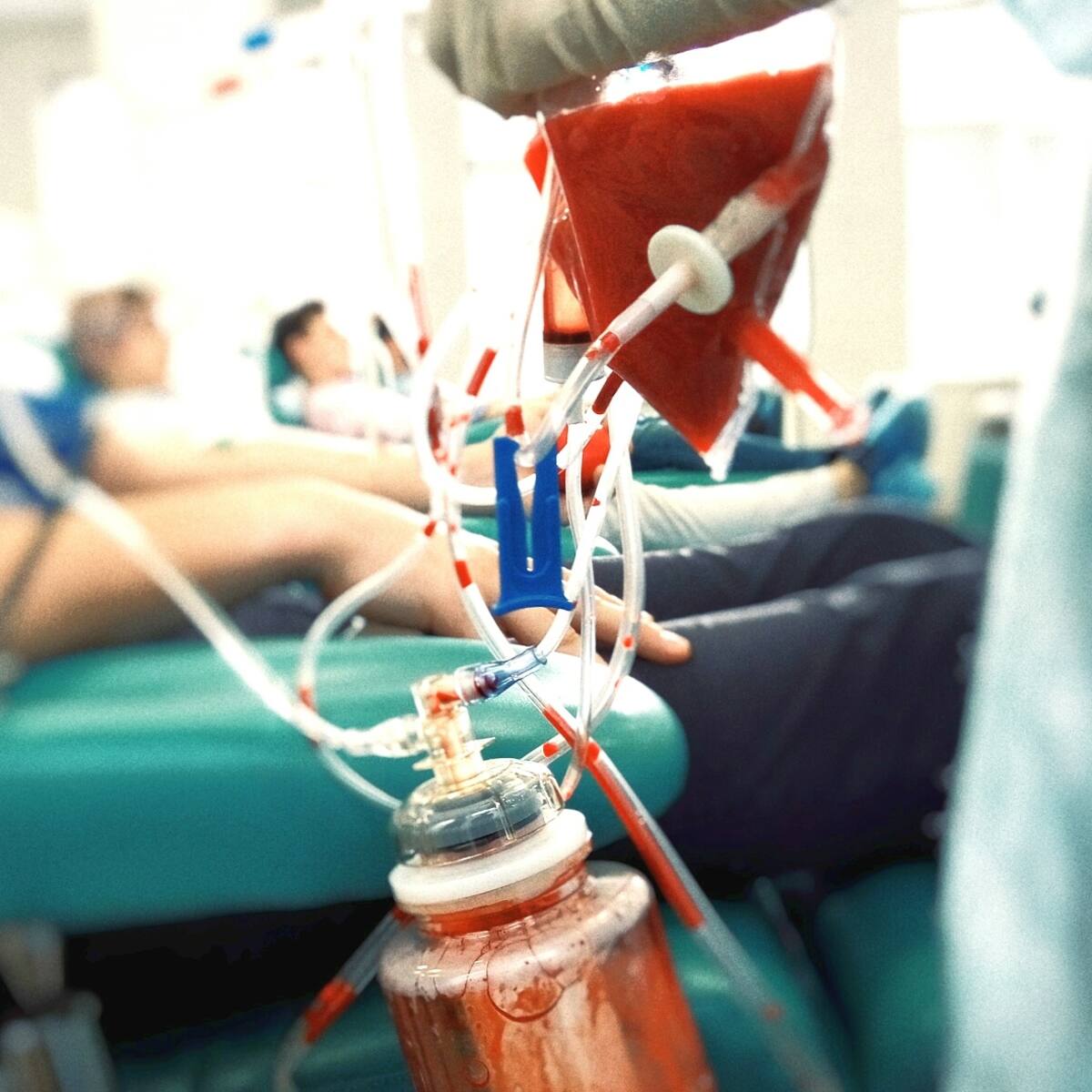 Solo tres grupos sanguíneos se encuentran en buen nivel en Galicia