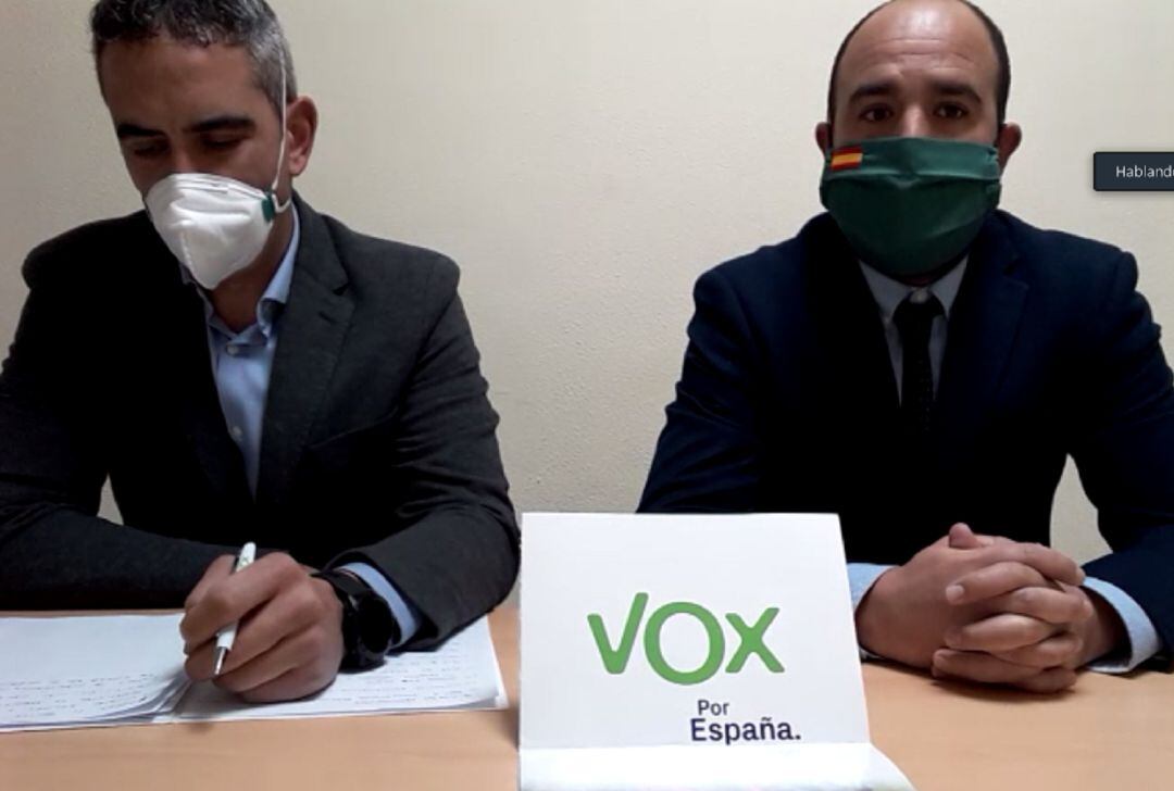 Imagen de la comparecencia telemática de los concejales de Vox