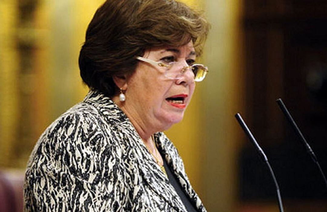 Mª Luisa Cava de Llano