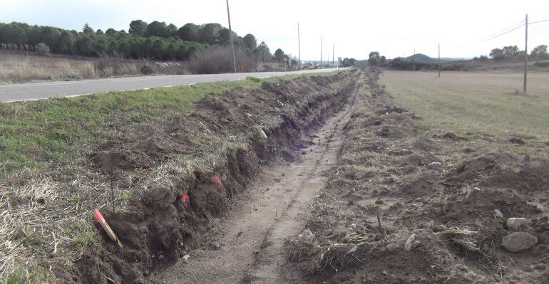 Es fan rases per encaminar els gripaus i granotes.