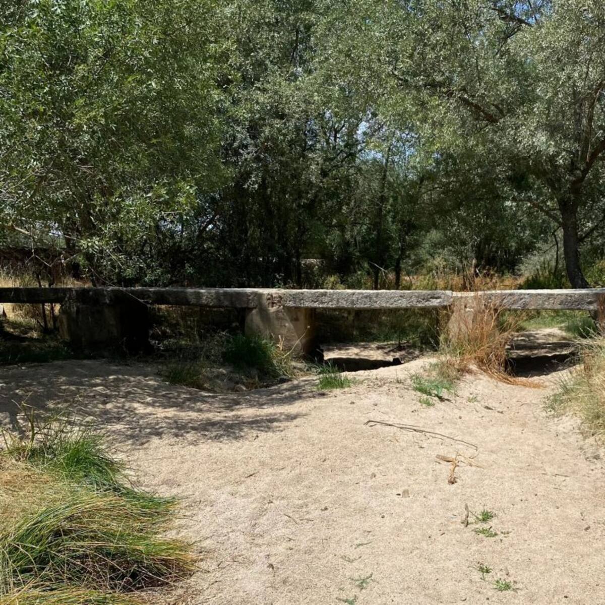BOCEMA denuncia que los peces agonizan por el corte del caudal del río Samburiel, “una catástrofe ecológica consentida”