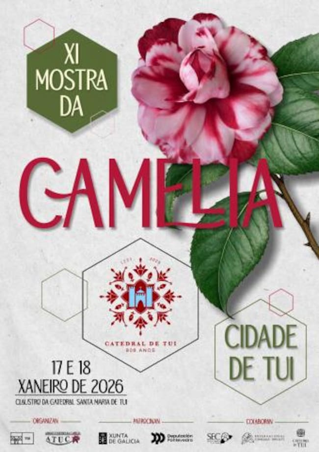 Mostra da Camelia en Tui