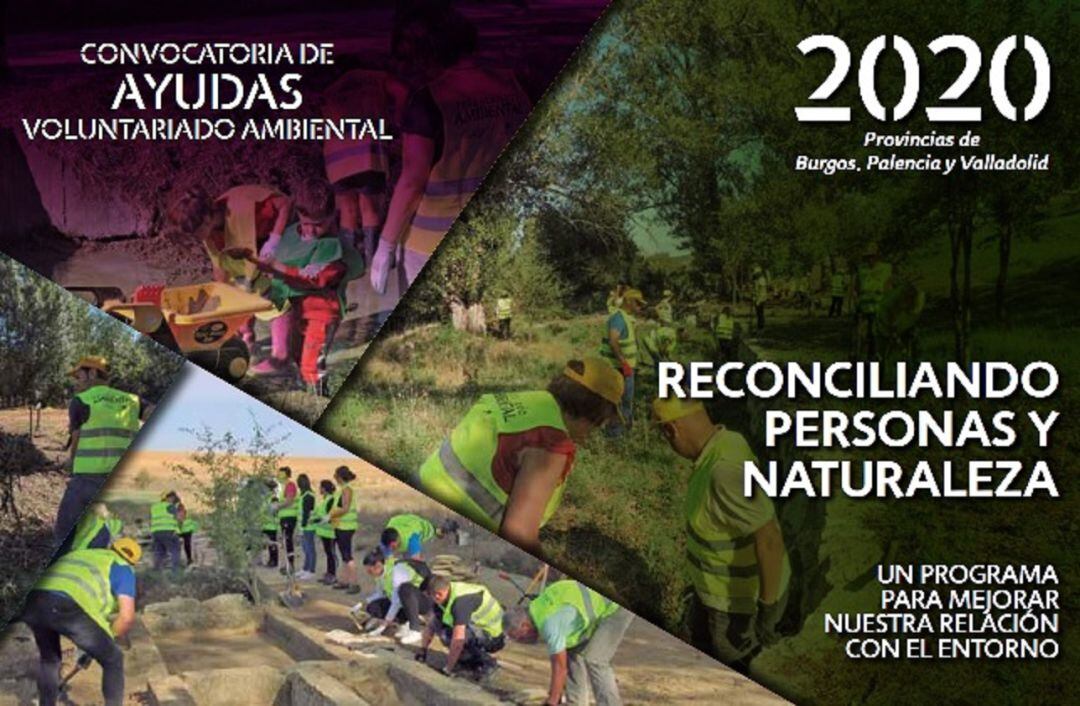 Convocatoria de Ayudas para Voluntariado Ambiental