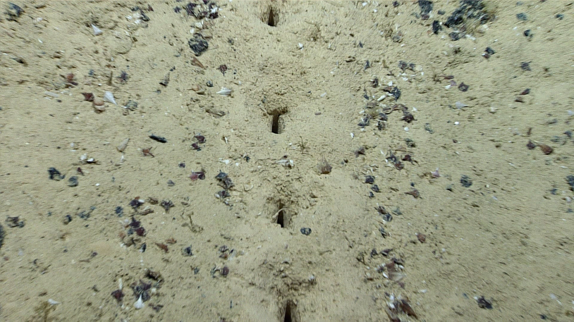 Los agujeros en el fondo del Atlántico, vistos de cerca.