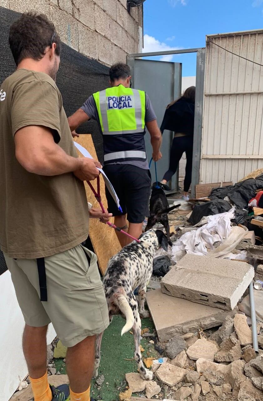 Agentes de la UPAM de la Policía Local de Arrecife con dos perros liberados.