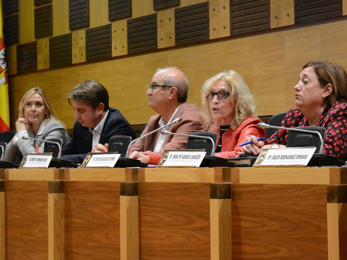 El PSOE denuncia la "ocultación de información" por parte del equipo de gobierno