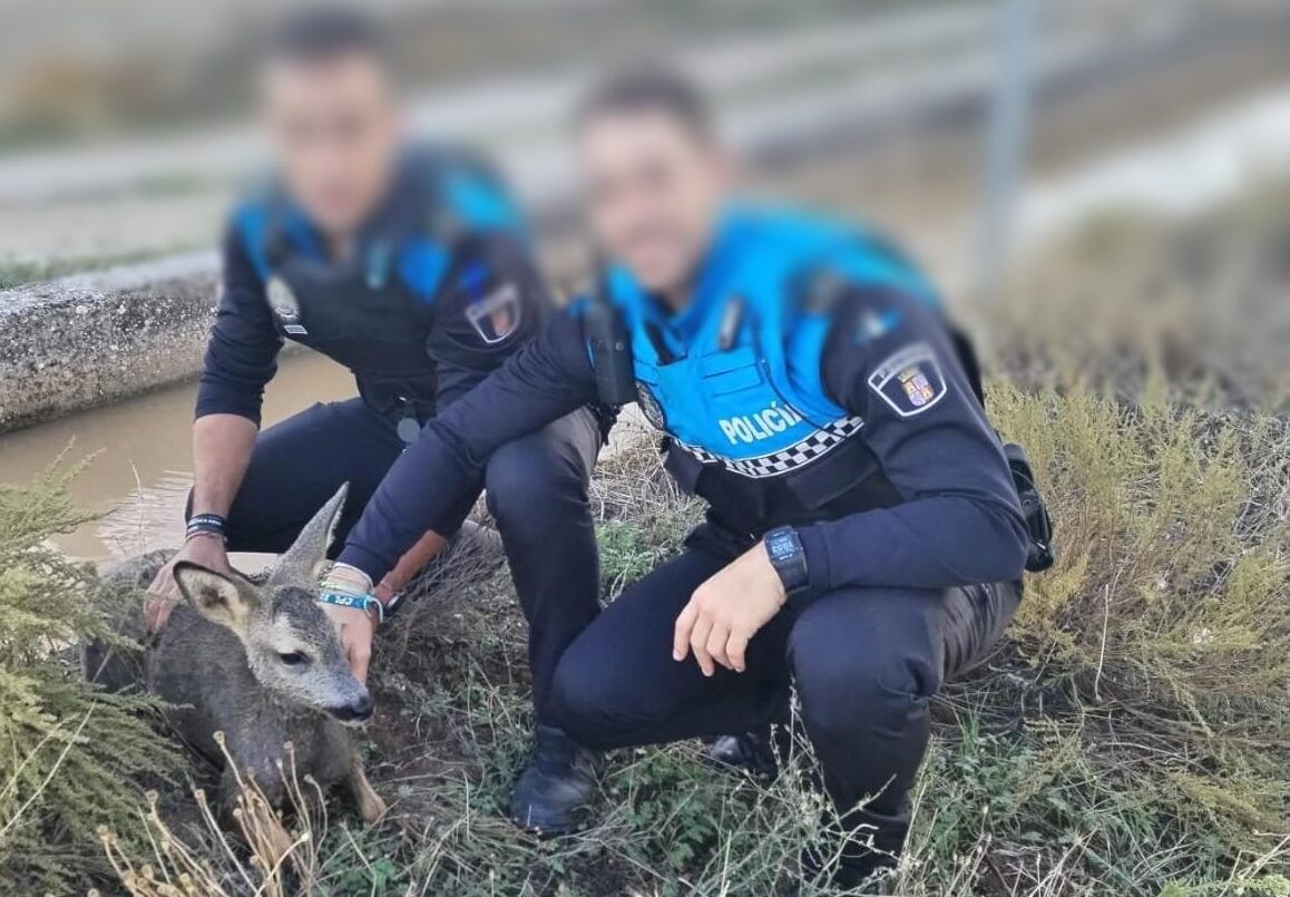 Los agentes posan con el animal tras su liberación