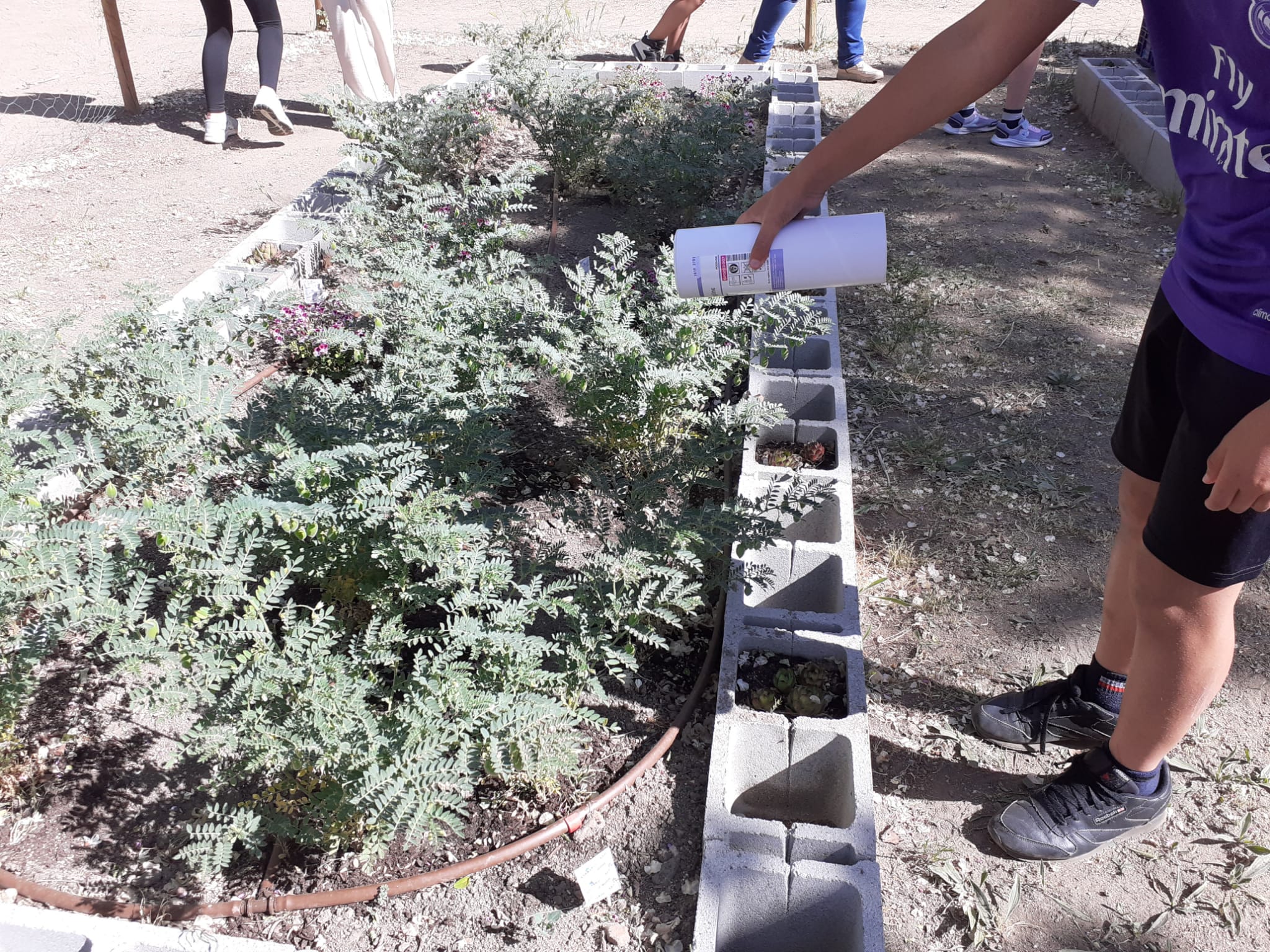 Proyecto de la UCAV con Fundabem en el Colegio Reina Fabiola