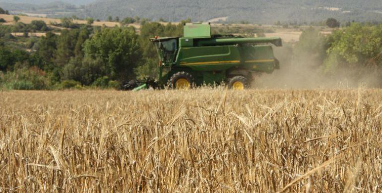 Les pèrdues per l'estiu tan sec s'acosten als 3 milions d'euros.