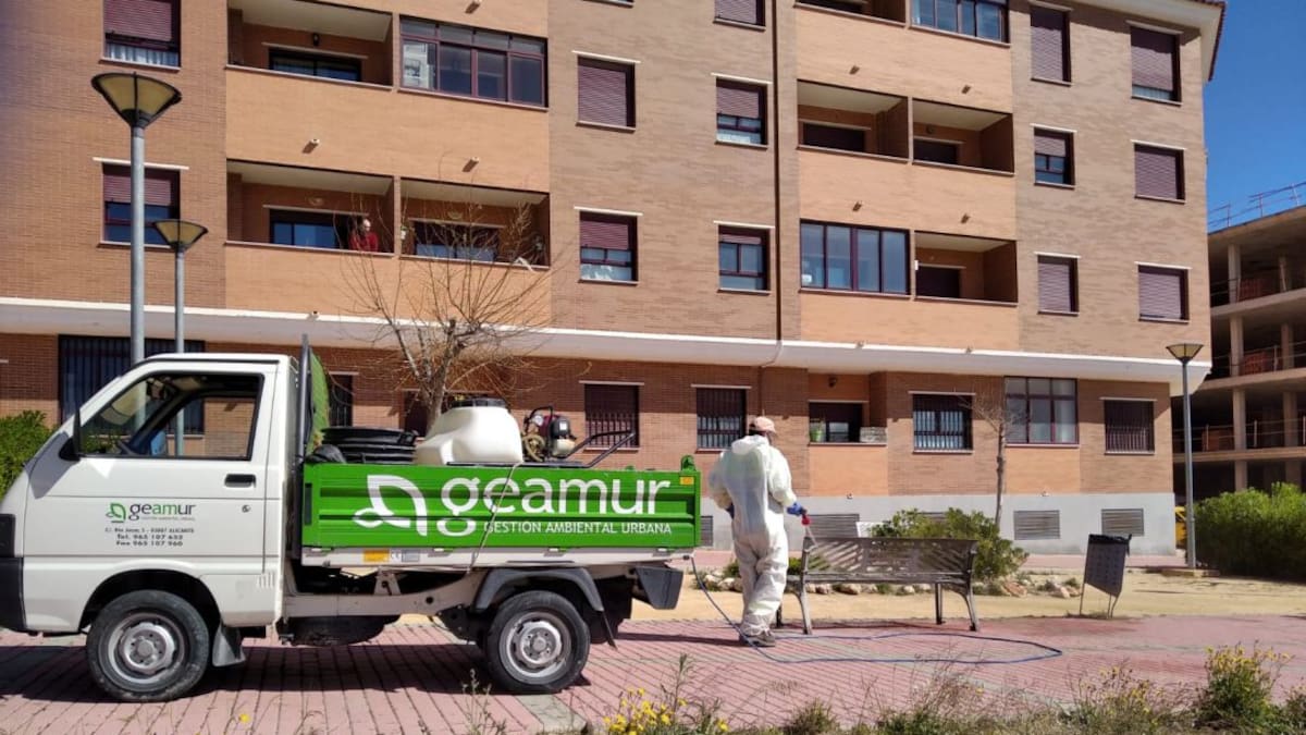 Unidas Podemos denuncia que el alcalde mintió cuando prometió la reposición del arbolado de la ciudad