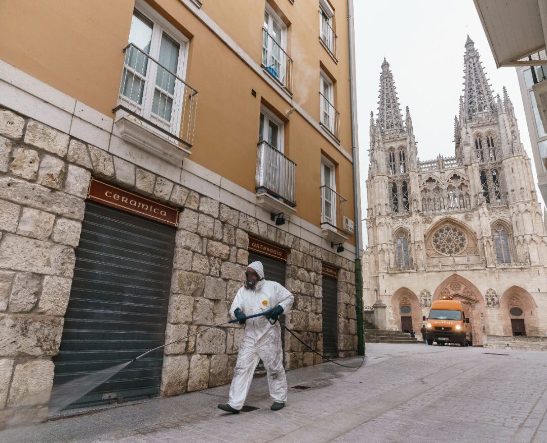 Operario realizando labores de desinfección en el entorno de la Catedral.
