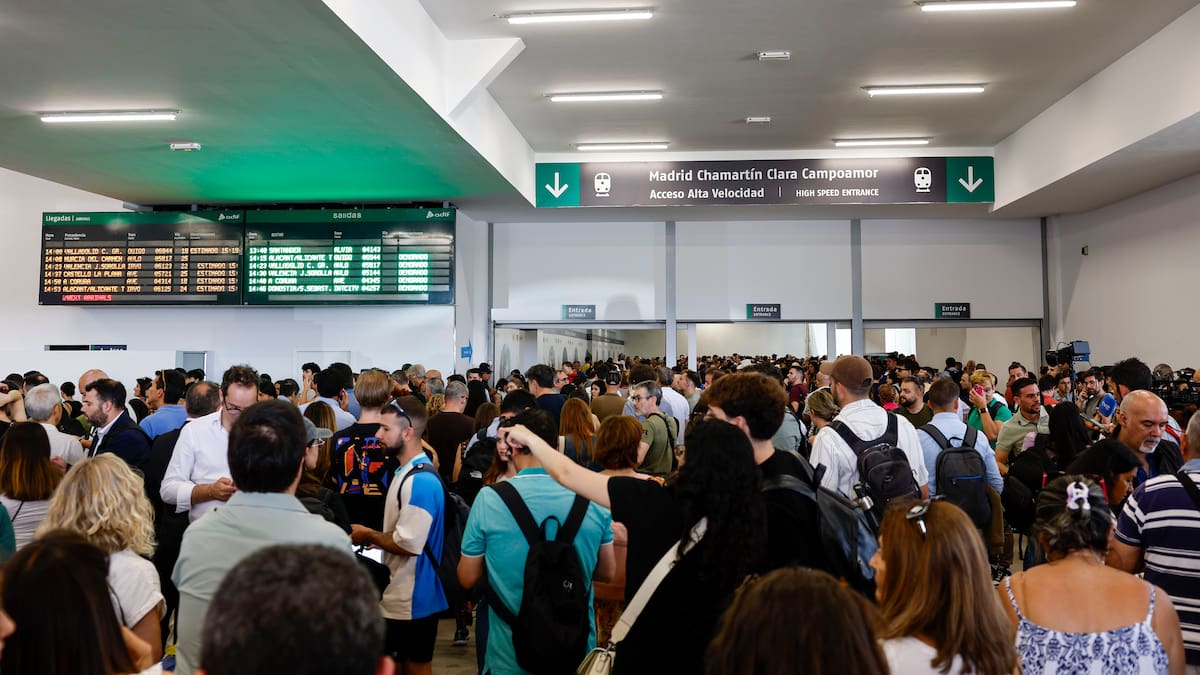 Radiografía de la saturación de la red ferroviaria: las líneas tienen espacio, pero las estaciones y los talleres están al límite