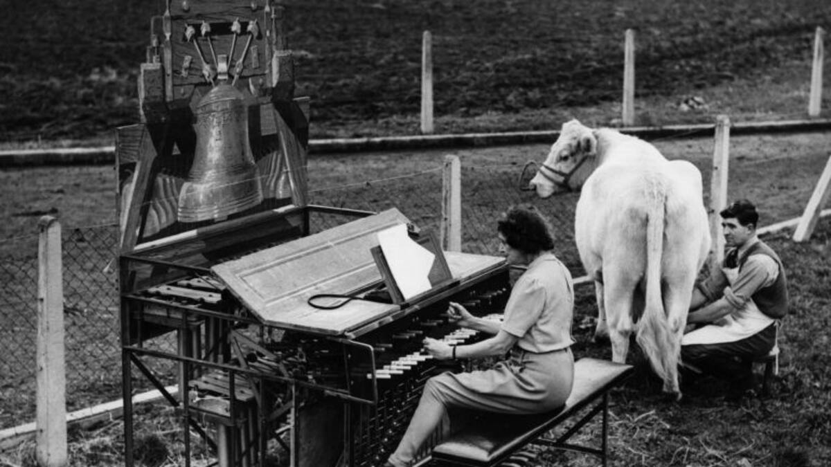 Diez discos de música con historias que te reconciliarán con la vida