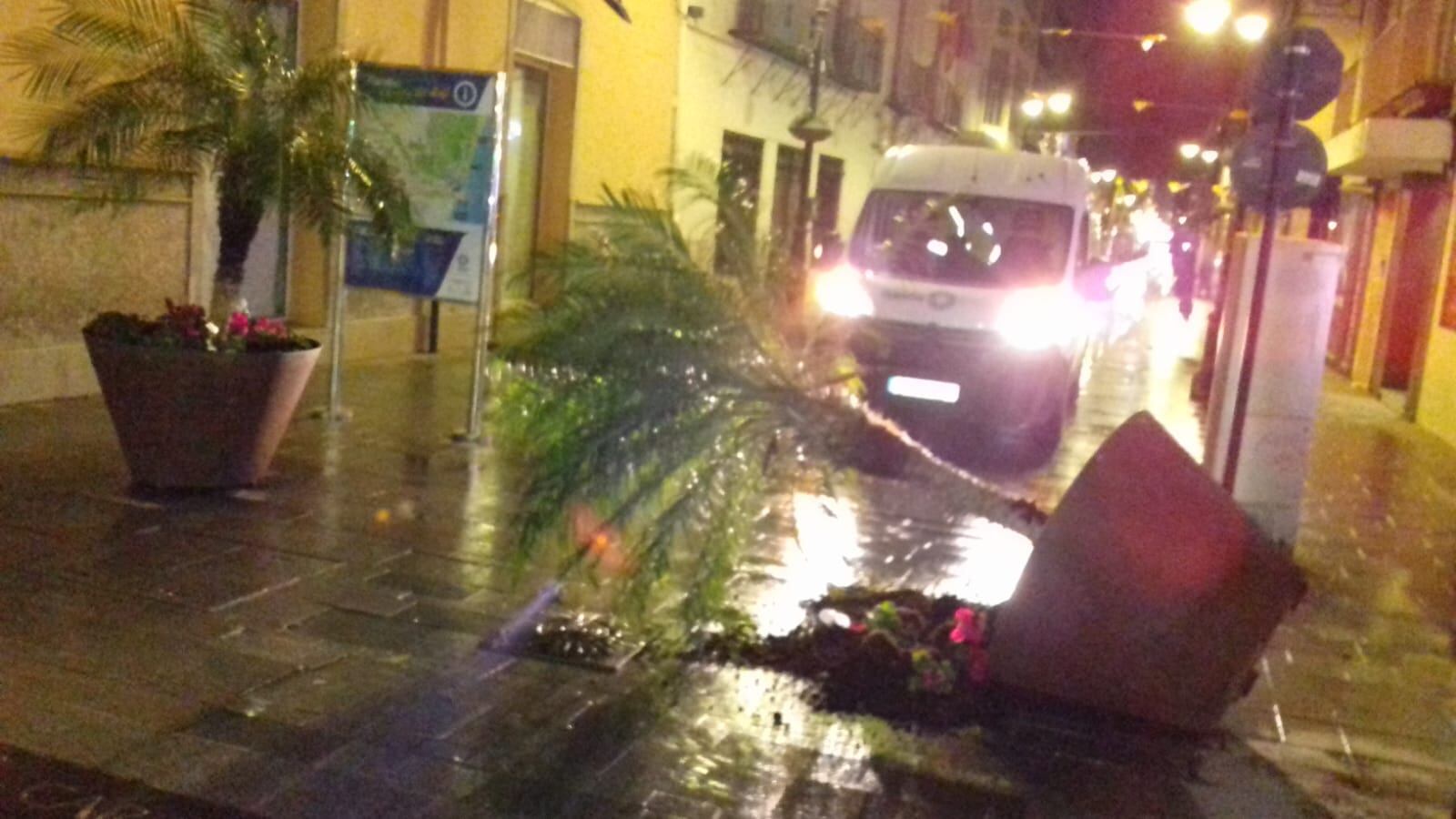 Uno de los grandes maceteros de la calle Sant Francesc de Borja tumbado en el suelo