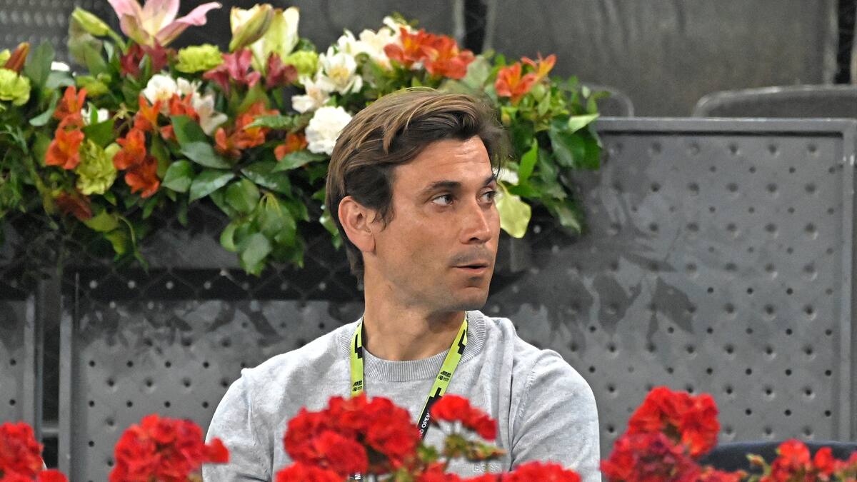 David Ferrer, capitán de la Davis: "Si nos clasificamos, lo primero que haré será llamar a Rafa Nadal"