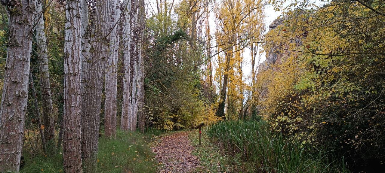 El barranco de Gabasa será uno de los nuevos espacios del festival.