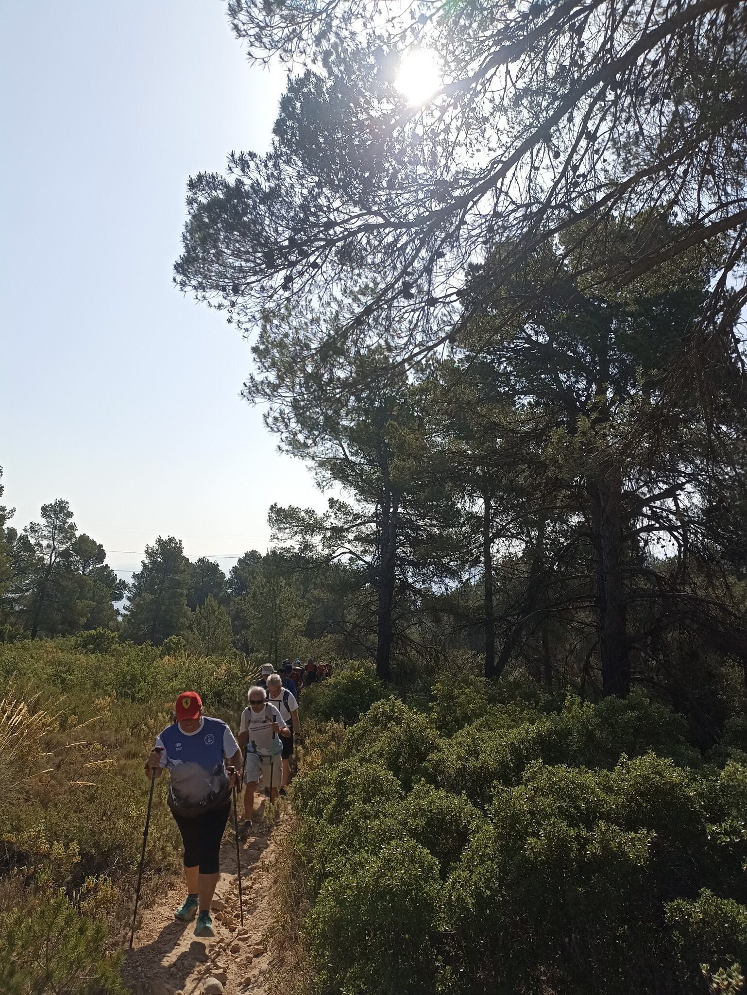 Marcha intercomarcal