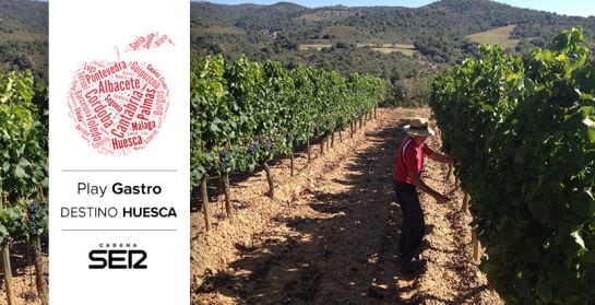 Joaquín Durán, vecino de Ubiergo (Huesca), trabaja para la bodega Obergo.