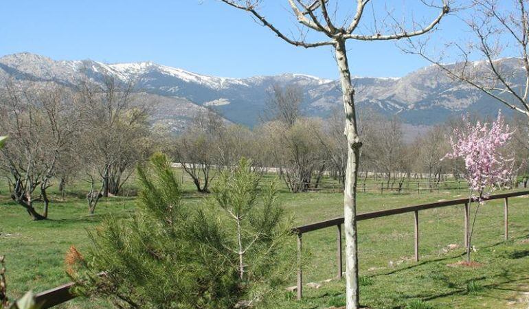 Un paraje de Soto del Real