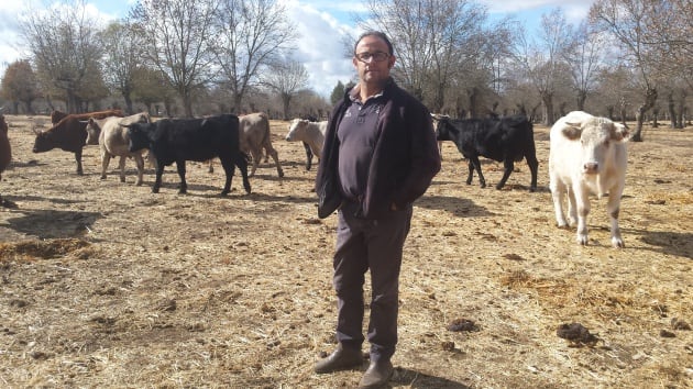 El ganadero Manuel Barahona, en su parcela del paraje de la Fresneda, en Lumbrales, Salamanca