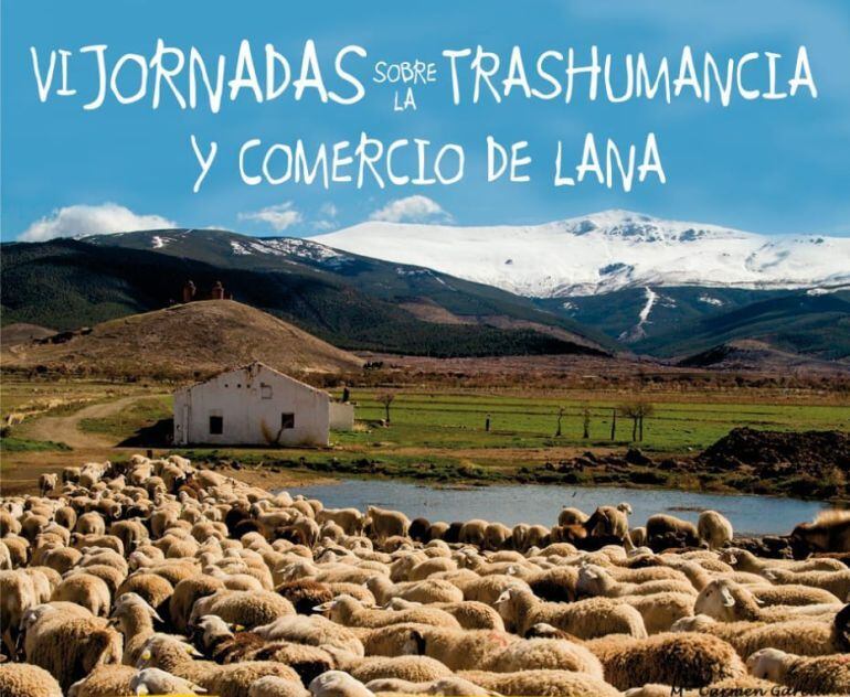 Las Jornadas de Trashumancia se incluyen en la Feria de Productos Ecológicos