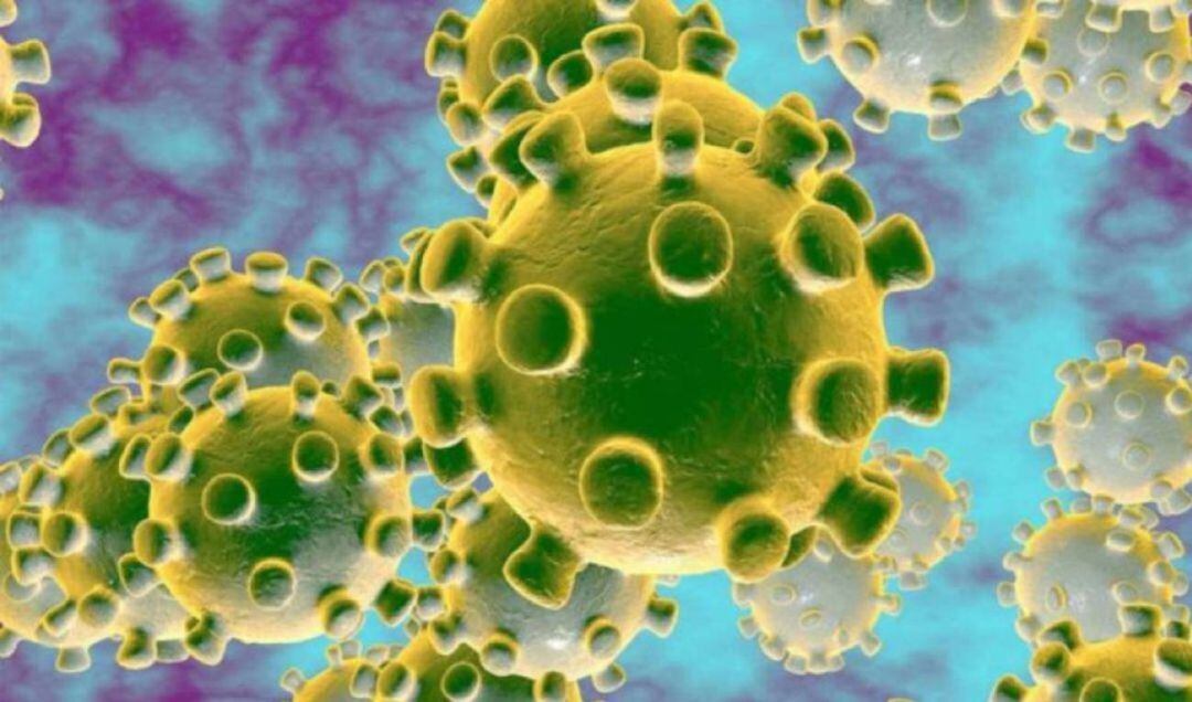 Imagen del coronavirus