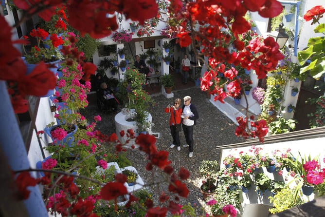 Fotografía de archivo de un patio cordobés en el Barrio de San Basilio. Los patios de Córdoba se han convertido en el duodécimo valor español que entra en la lista del patrimonio cultural inmaterial de la humanidad de la Unesco