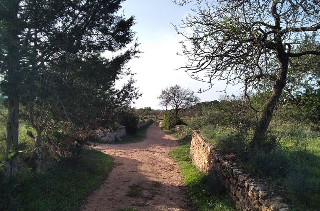 Imagen de archivo de una pared de piedra seca