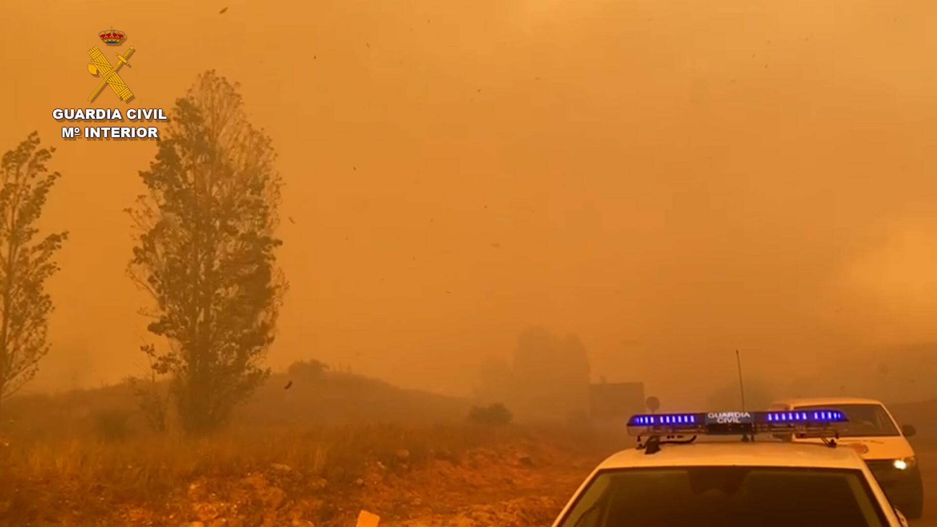 Imágenes del incendio