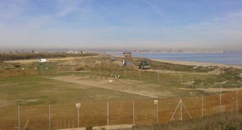 Cordón dunar en El Saler