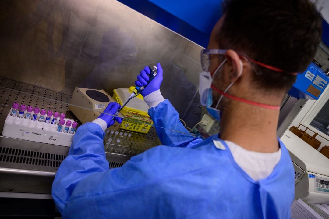 Personal trabajando con muestras PCR en el laboratorio. 