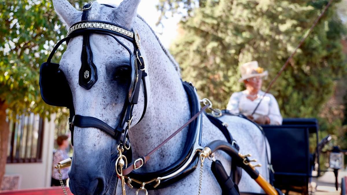 Entrevista con Lola Sánchez Arcas. Lorca acoge la XX Copa de Enganches Su Majestad El Rey.