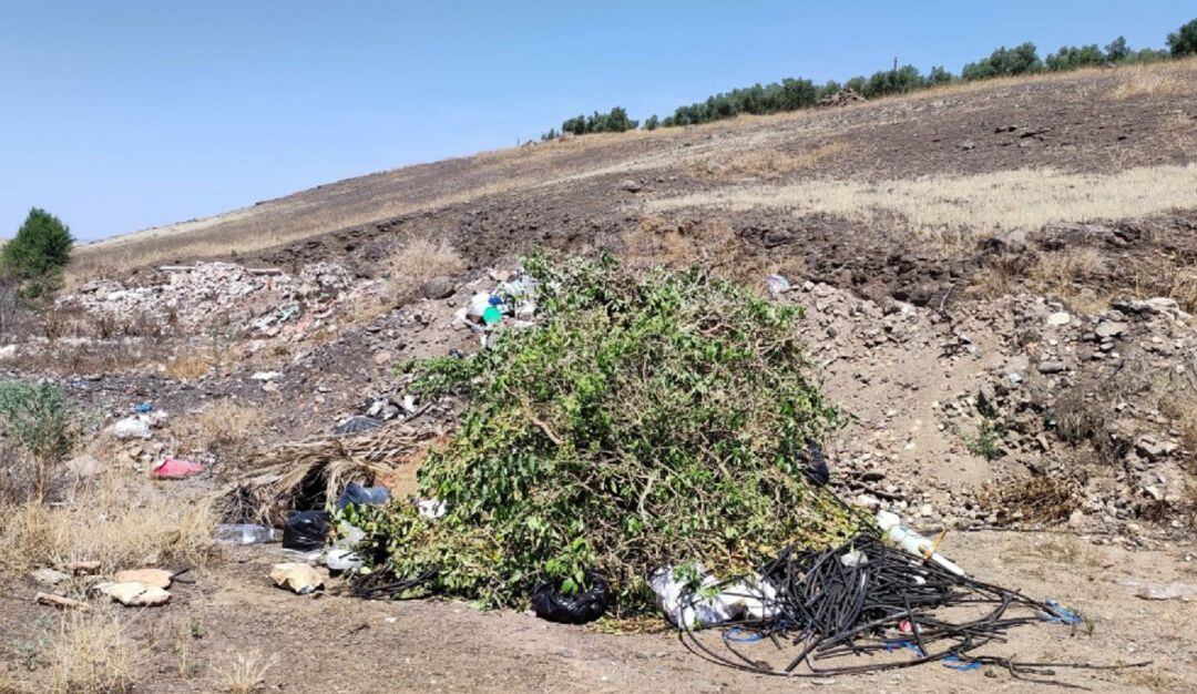 Se han encontrado escombros, basuras y hasta animales domésticos muertos