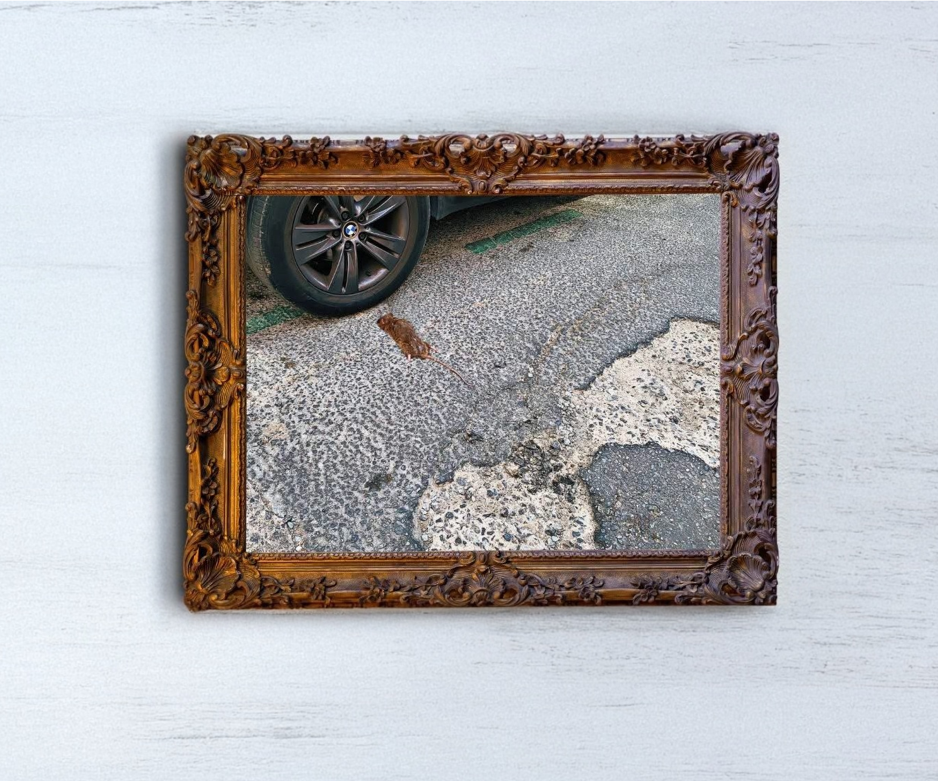 Rata reposando sobre bache