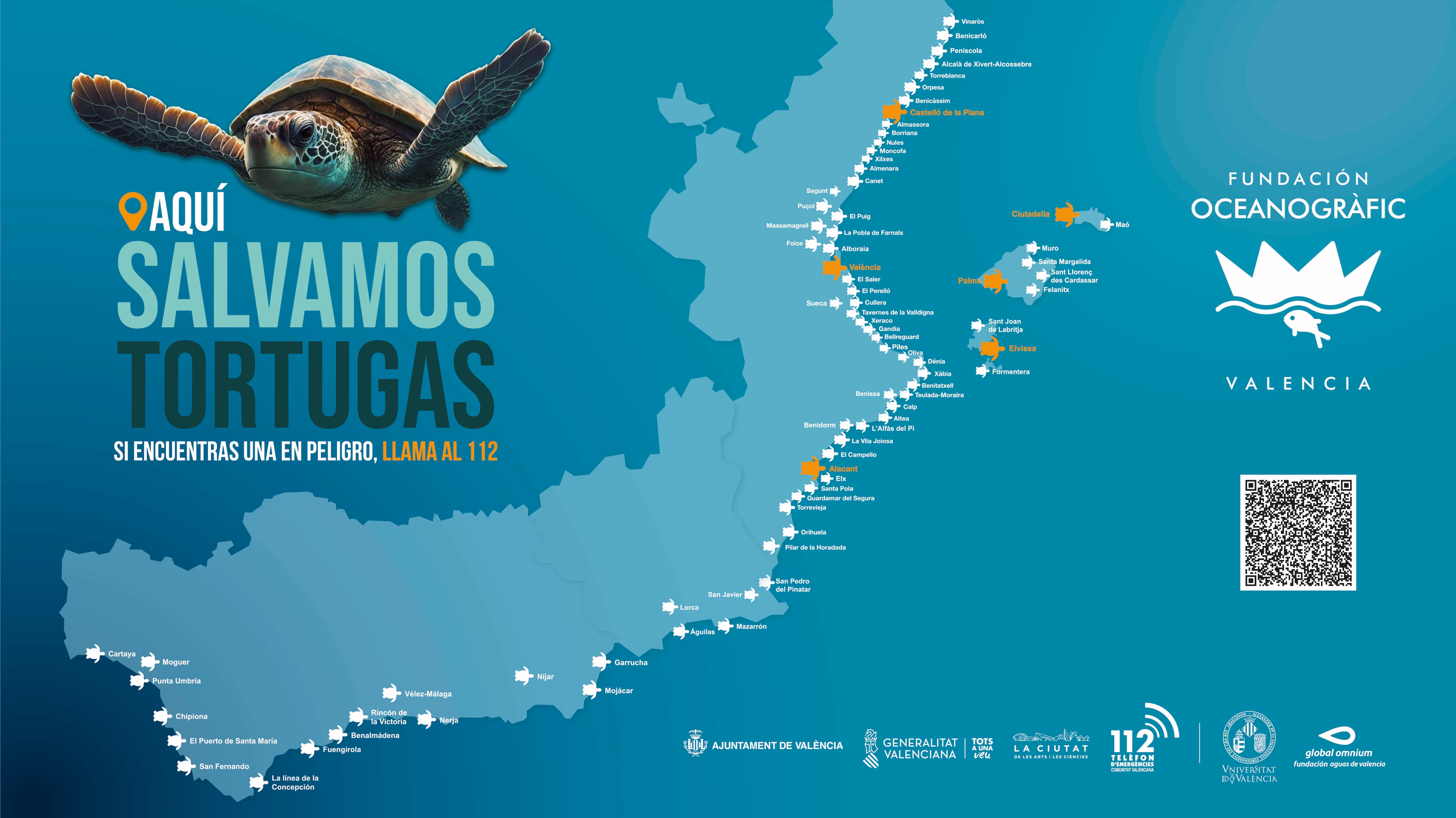 IV campaña de concienciación “Tortugas en el Mediterráneo”