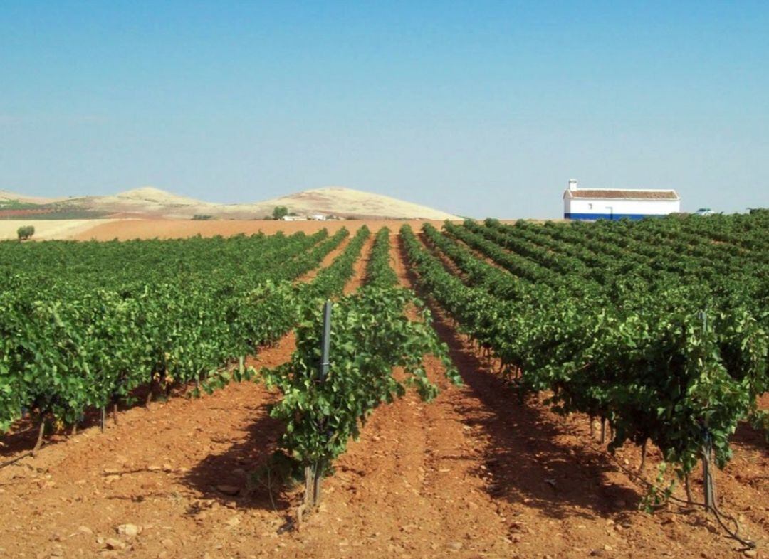 Bodegas Megía e Hijos