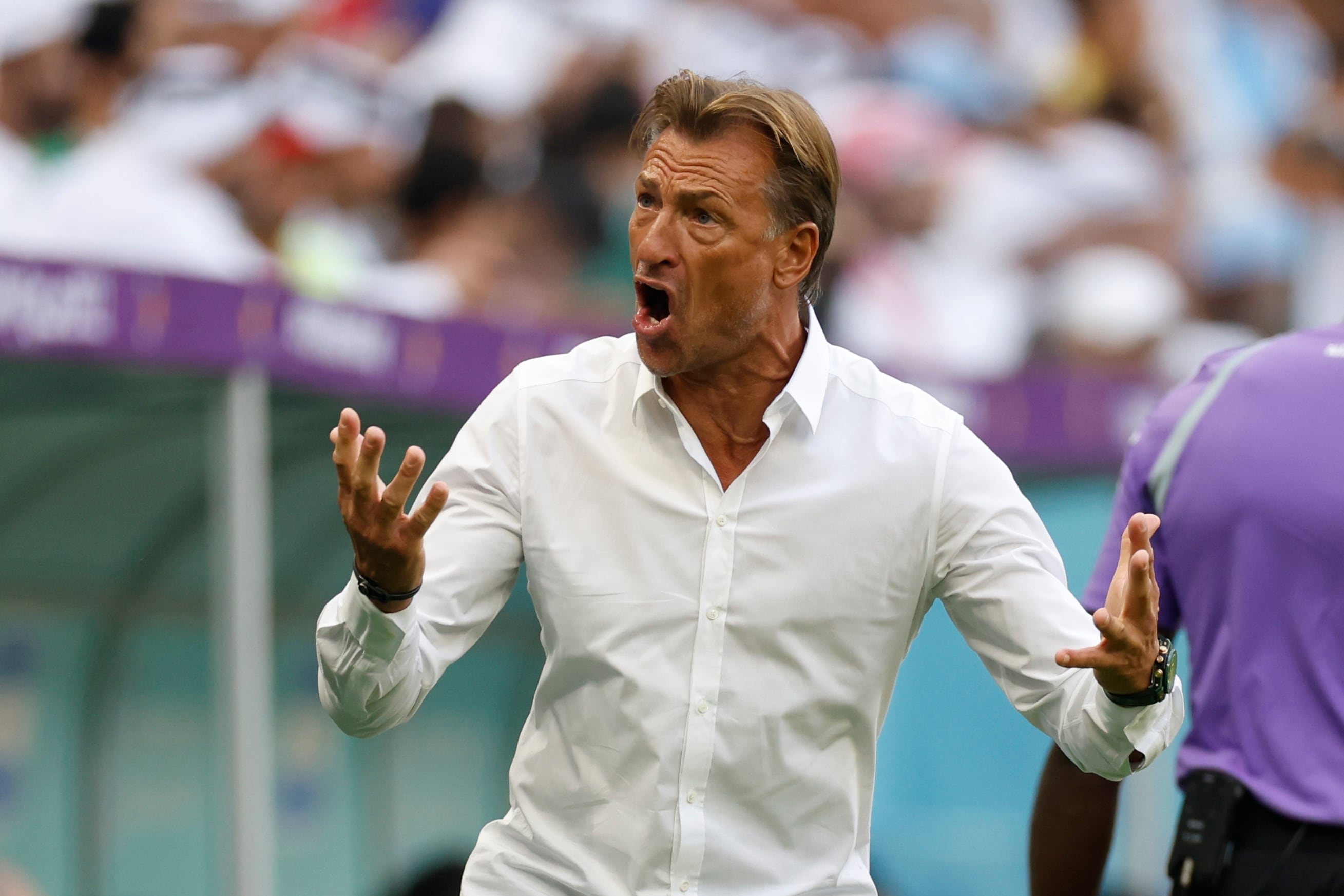 El seleccionador de Arabia Saudi, Herve Renard, durante el partido ante Argentina. EFE/ Juan Ignacio Roncoroni